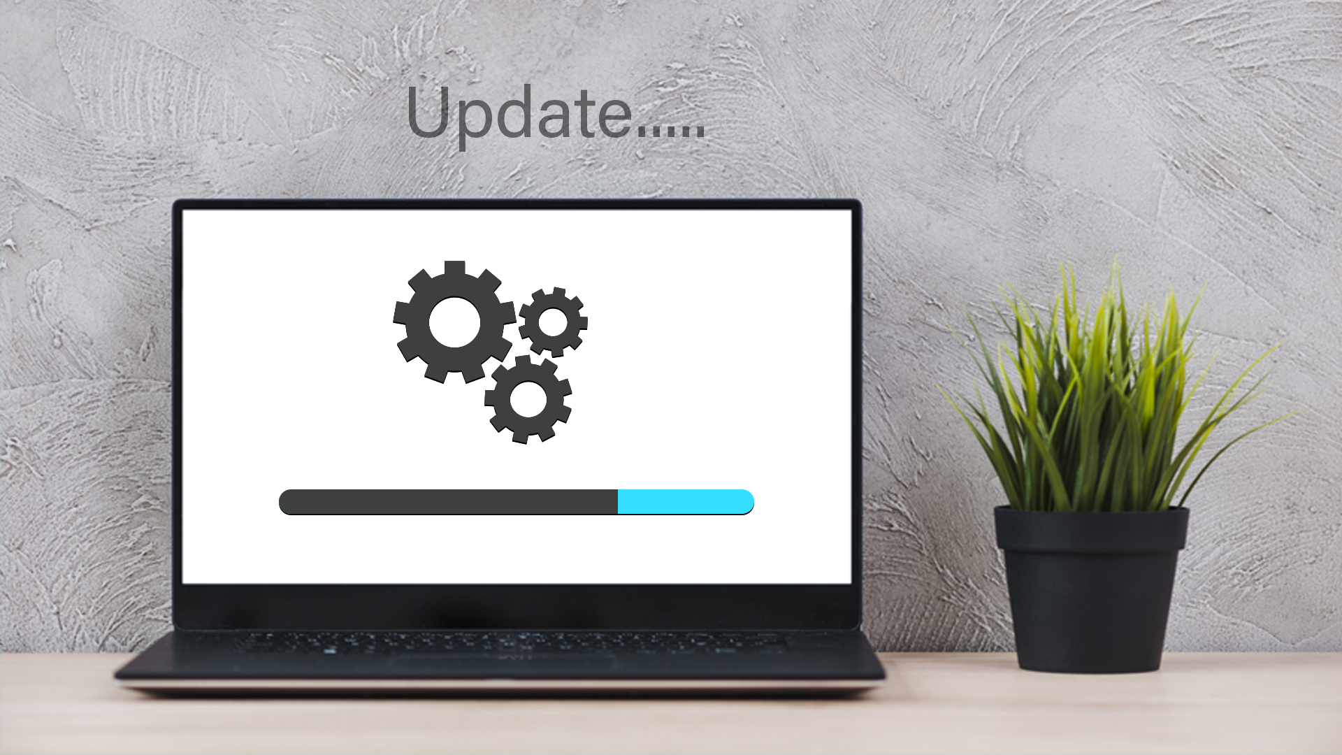 Update Highlights Q2 2023